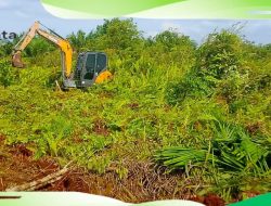 Pria Berinisial AR Diduga Melakukan Pengerusakan Lahan Milik Warga Desa Telaga Suka