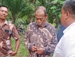 Pengadilan Tinggi Menangkan Tuimen Atas Banding Yang Dilakukan Menantu Perempuan