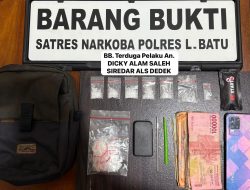 Satresnarkoba Polres Labuhanbatu Amankan Pengedar Sabu Dan Cartridge Vape Diduga Mengandung Etomidate